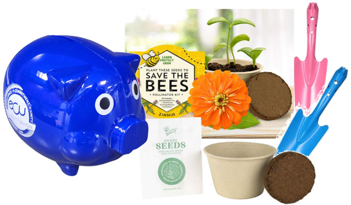 PIGGY BANK AND  TWO FLOWER SEED GROW KITS